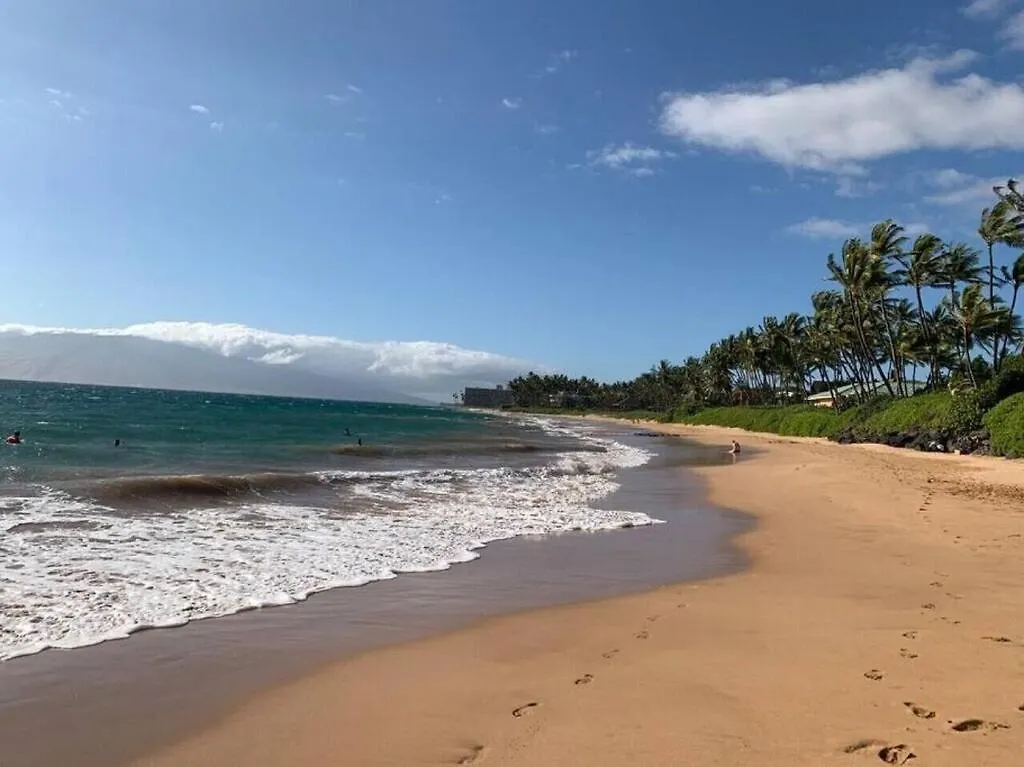 Daire Maui Vista 3307 Condo Kihei ABD